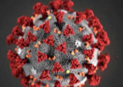 பிரதிநிதித்துவப் படம்