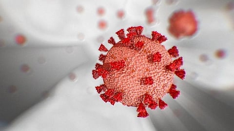 எட்டயபுரம் அருகே தனிமைப்படுத்தப்பட்டவரை அலைக்கழித்த சுகாதார ஆய்வாளர் மீது புகார்