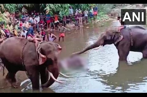 கோப்புப்படம்