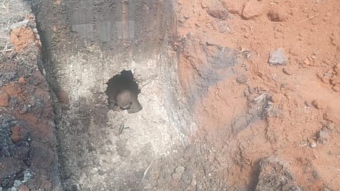 திருப்புவனம் அருகே கொந்தகையில் தனியார் நிலத்தில் குழி தோண்டியபோது முதுமக்கள்தாழியில் அமர்ந்தநிலையில் மனித எலும்பு கண்டுபிடிக்கப்பட்டது.