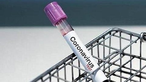 சிவகங்கையில் புதிதாக அமையவுள்ள கரோனா மருத்துவமனையில் பிடிப்பட்ட பாம்பு