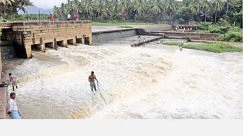 கன மழையால் நாகர்கோவில் பழையாறு தடுப்பணை வழியே கரைபுரண்டு ஓடும் வெள்ளம். படம்: எல்.மோகன்