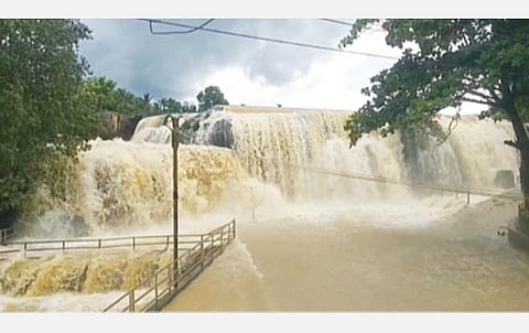 கோதையாற்றில் திடீர் வெள்ளப்பெருக்கு- பாசனத்துக்கு அணைகள் இன்று திறப்பு