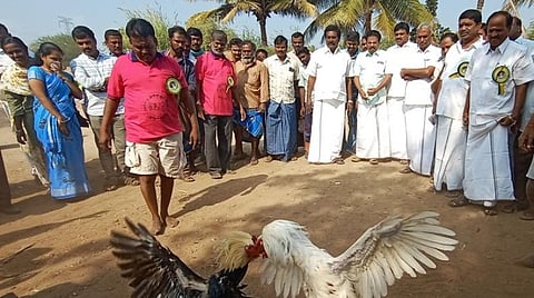 கோப்புப்படம்