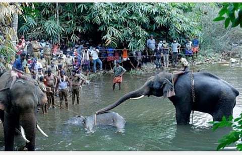 கோப்புப்படம்