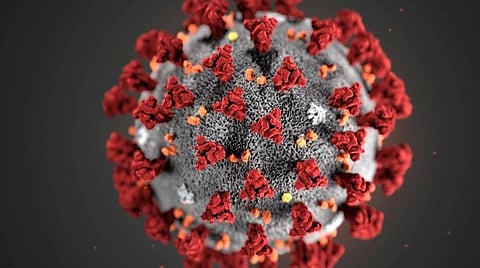 பிரதிநிதித்துவப் படம்