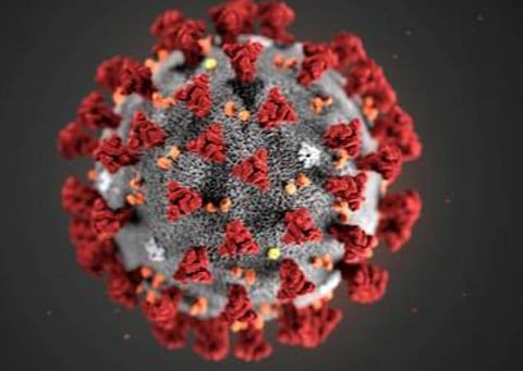 பிரதிநிதித்துவப் படம்