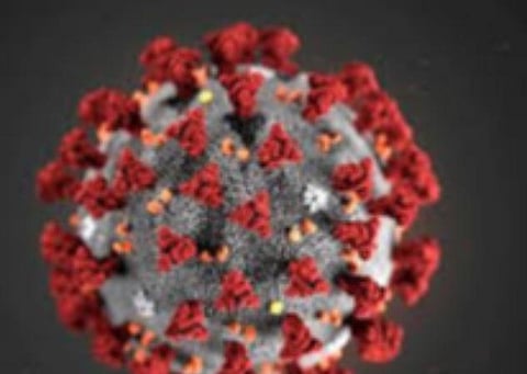 பிரதிநிதித்துவப் படம்