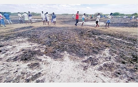 புதுக்கோட்டை மாவட்டம் ஆவுடையார்கோவில் அருகே பேயாடிக்கோட்டை கண்மாயில் நேற்று எரிந்த கருவேலங்காடு.