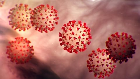 ஊழியர்கள் 6 பேருக்கு கரோனா: நெல்லையில் நகைக் கடைக்கு சீல்