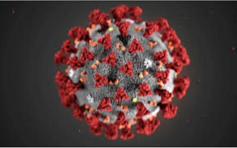 பிரதிநிதித்துவப் படம்