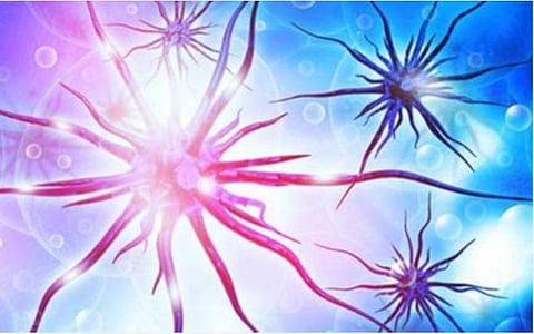 பிரதிநிதித்துவப் படம்.