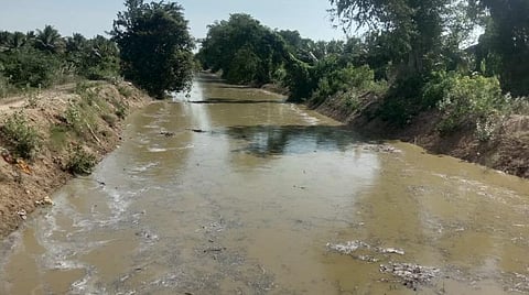 புதுக்கோட்டை மாவட்டம் மேற்பனைக்காடு பகுதியை வந்தடைந்த காவிரி நீர்.