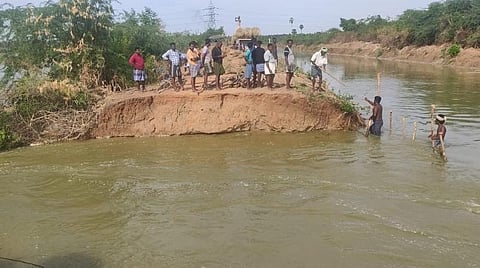 புதுக்கோட்டை மாவட்டம் வேம்பங்குடி கிழக்கில் கல்லணைக் கால்வாயில் ஏற்பட்ட கரை உடைப்பு.
