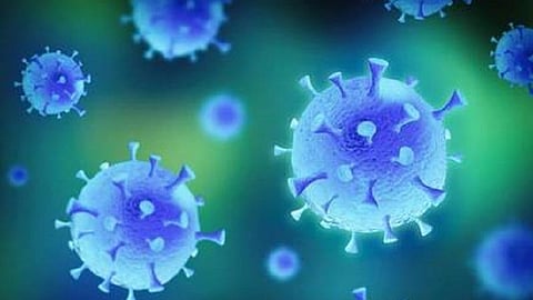 சிவகங்கை மாவட்டத்தில் அரசு மருத்துவமனை கண்காணிப்பாளர் உட்பட 35 பேருக்கு கரோனா