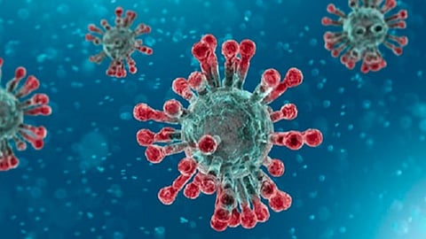 தூத்துக்குடியில் கரோனாவுக்கு மேலும் 2 பெண்கள் பலி: பாதிப்பு எண்ணிக்கை 700-ஐ தாண்டியது