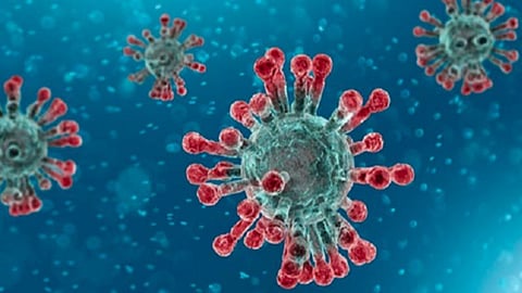 குமரியில் ஒரே நாளில் 25 பேருக்கு கரோனா: தொற்று எண்ணிக்கை 250-ஐ தாண்டியது