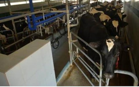 கால்நடை சார்ந்த தொழில்களுக்கு கடன் திட்டம்: 3% வட்டித் தள்ளுபடி அறிவிப்பு