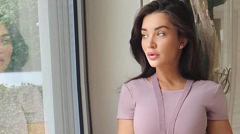 இறைச்சி தொழிற்சாலைகள் நோய்களின் கூடாரம்: ஏமி ஜாக்சன் கடும் விமர்சனம்