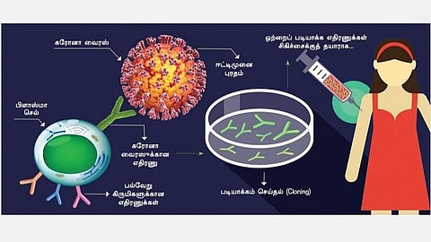 கரோனா வைரஸ் தடுப்பு: முதல் வெற்றி
