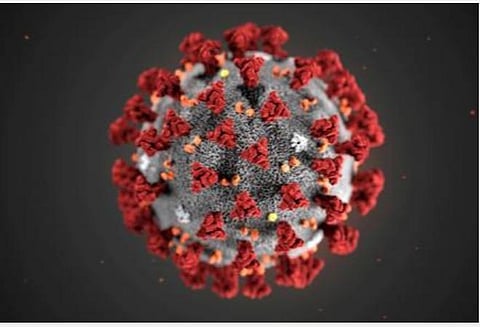 தென்காசி மாவட்டத்தில் கரோனா தொற்றால் பாதிக்கப்பட்ட 2 முதியவர்கள் உயிரிழப்பு: மேலும் 38 பேர் பாதிப்பு