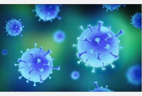 சிவகங்கை மாவட்டத்தில் மேலும் 30 பேருக்கு கரோனா