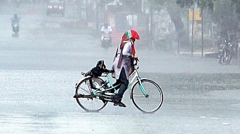 சென்னையில் நேற்று மதியம் மிதமான மழை பெய்தது. நந்தம்பாக்கம் சாலையில் மழையில் நனைந்தபடி சைக்கிளில் செல்லும் பெண். படம்: ம.பிரபு