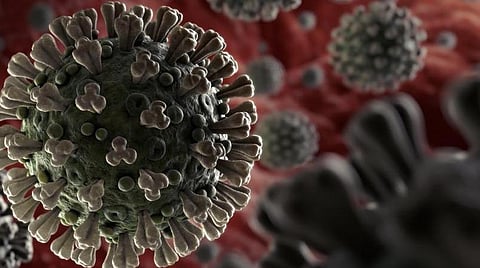 கன்னியாகுமரி மாவட்டத்தில 24 மணி நேரத்தில் 32 பேர் கரோனாவால் பாதிப்பு: ஒருவர் மரணம்