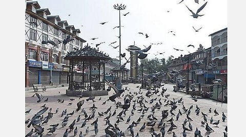 அனைவரையும் அரவணைக்கட்டும் புதிய வசிப்புரிமை விதிமுறைகள்