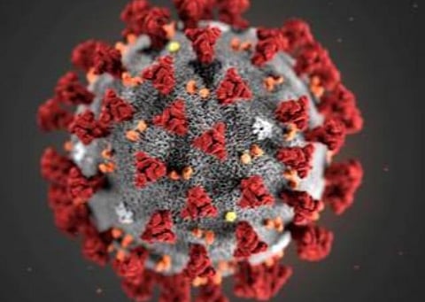 பிரதிநிதித்துவப் படம்