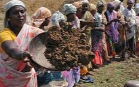 சிவகங்கையில் நூறுநாள் வேலை திட்டத்தில் ஆளும் கட்சியினர் தலையீட்டால் சாலைப் பணி நிறுத்தம்: ஊராட்சித் தலைவி புகார்