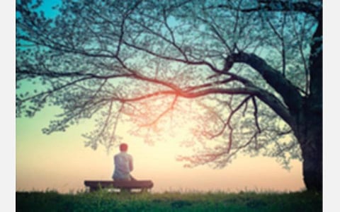 கரோனா காலம்: தனிமையின் பிடியில் இளைஞர்கள்!