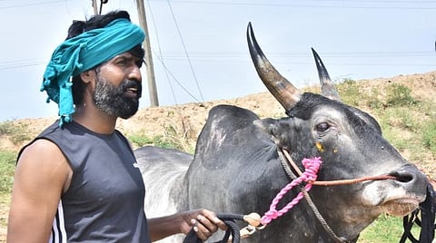 எங்கள் கருப்பன் காளையை யாரும் தொட்டதுகூட இல்லை: சூரி