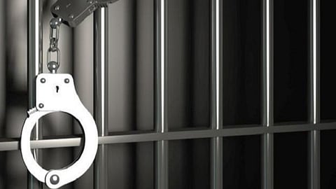 மதுரையில் பசுமாட்டை சரமாரியாக தாக்கிய உரிமையாளர் கைது: பசுவுக்கு தொடர் சிகிச்சை அளிக்க ஏற்பாடு