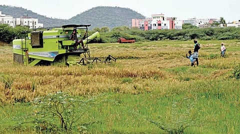 விவசாயத்துக்கு சாதாரண பிரிவின் கீழ் 25 ஆயிரம் மின்இணைப்புகள்: மின்வாரிய அதிகாரிகள் தகவல்