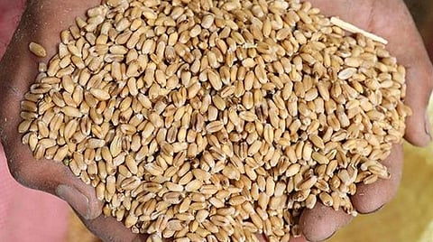 ஏழைகளுக்கு இலவச உணவு தானியம்: நவம்பர் வரை நீட்டிக்க மத்திய அரசு அனுமதி