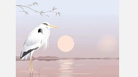 ஜென் துளிகள்: நம்பிக்கை