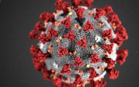 வணிக வளாகம், பேக்கரி மூடல்: தூத்துக்குடியில் கரோனாவுக்கு மேலும் 2 பேர் பலி- மாவட்டத்தில் பாதிப்பு 2000-ஐ தாண்டியது