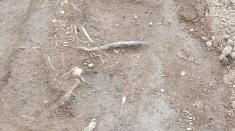 கொந்தகை அகழாய்வில் கண்டுபிடிக்கப்பட்ட குழந்தையின் எலும்புக்கூடு.