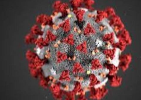 பிரதிநிதித்துவப் படம்