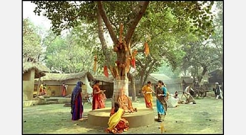 திங்கட்கிழமை... ஆடி அமாவாசை... அமா சோமவாரம்; அரச மரத்தை வலம் வந்து வழிபட்டால் நினைத்தது நடக்கும்!