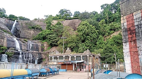 படம்: ரிஷி