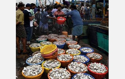 காசிமேட்டில் மக்கள் மீன் வாங்க அனுமதி இல்லை: அமைச்சர் ஜெயக்குமார் தகவல்