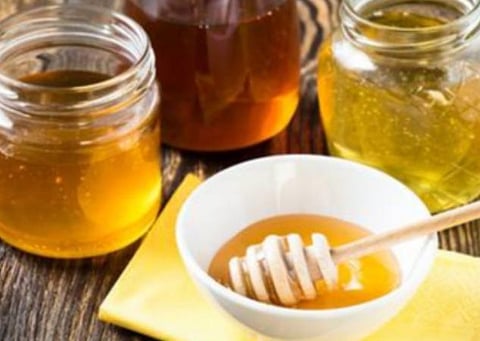 தேனில் கலப்படம்; கண்டறிய குஜராத்தில் உலகத்தரம் வாய்ந்த ஆய்வகம் திறப்பு