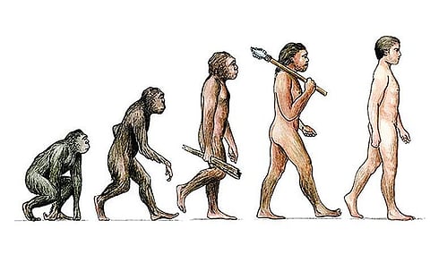 சூழலியல் - உயிரியல் புறக்கணிப்பு: மறைக்கிறோமா, மறைந்துபோகிறோமா?