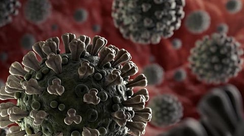 விருதுநகர் மாவட்டத்தில் இன்று ஒரே நாளில் 37 குழந்தைகள் உள்பட 445 பேருக்கு கரோனா: 10 பேர் டாஸ்மாக் ஊழியர்கள்