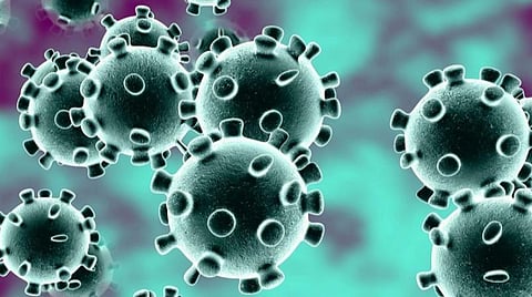 நெல்லை மாவட்டத்தில் புதிதாக 284 பேருக்கு கரோனா: நோய்த் தொற்றால் சார் பதிவாளர் மரணம்