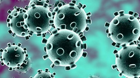 ஒரே நாளில் 381 பேருக்கு கரோனா: தூத்துக்குடியில் 6000-ஐ கடந்தது பாதிப்பு