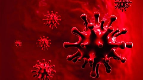 தூத்துக்குடியில் கரோனாவுக்கு ஒரே நாளில் 5 பேர் பலி: மாவட்டத்தில் மேலும் 316 பேருக்கு தொற்று உறுதி