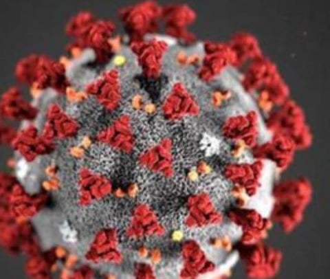 பிரதிநிதித்துவப் படம்